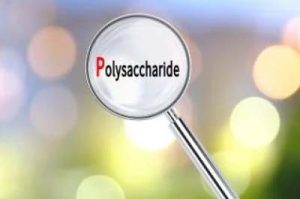 Lupe, durch deren Glas man das Wort Polysaccharide lesen kann
