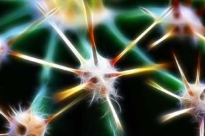 Illustration 3D du réseau neuronal et des voies nerveuses