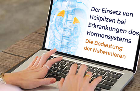 Frauenhände auf der Tastatur eines Laptops - auf dem Bildschirm ist eine Fachinformation zum Thema Nebennieren zu sehen